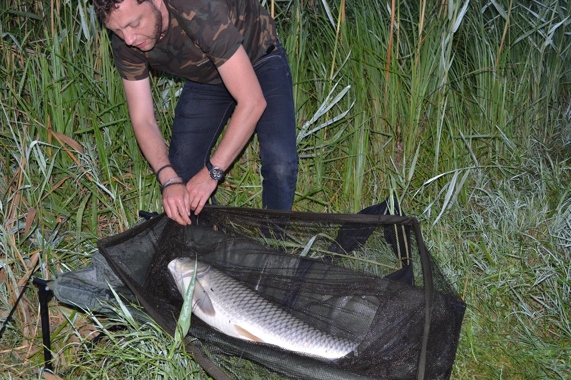 Pescuit Balta Lazar 6-8 iunie 2014 - dsc0006.JPG